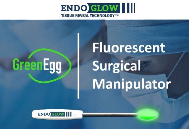 EndoGlow Revolutionizes Fluorescence-Guided Minimally Invasive Surgery with the GreenEgg™ Fluorescent Manipulator