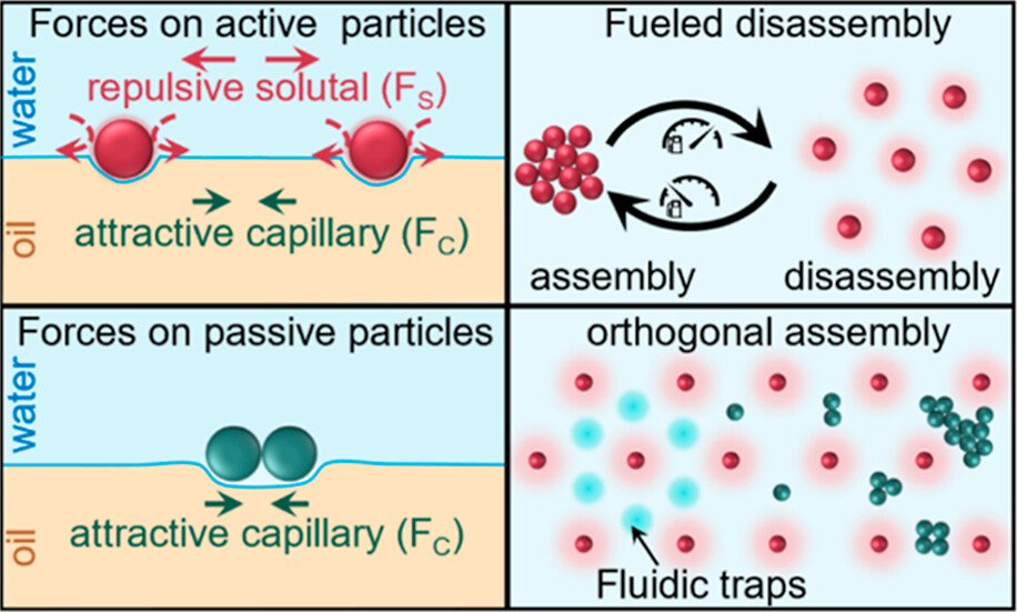 Image - 0001 - Researchers from IIT Roorkee fabricate life-like microscopic agents capable of self-organization